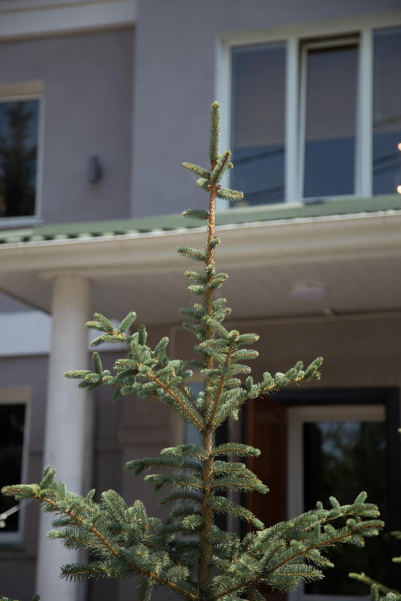People Guest House Bishkek Exterior photo